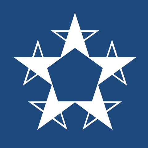 Partner (five stars)